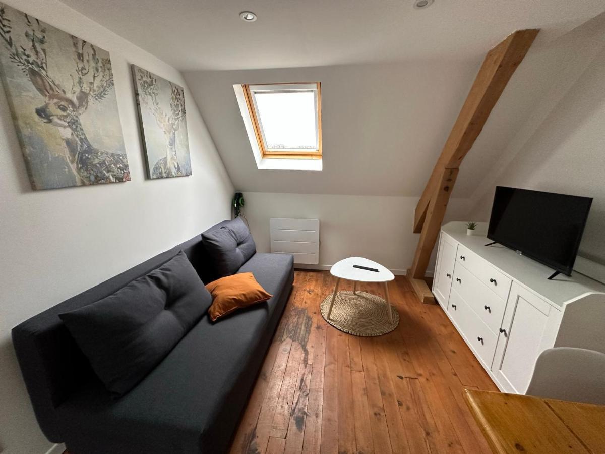 Superbe Proche Centre Ville, Thermes Apartment Bagneres-de-Bigorre